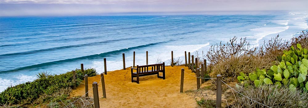 Torrey Pines